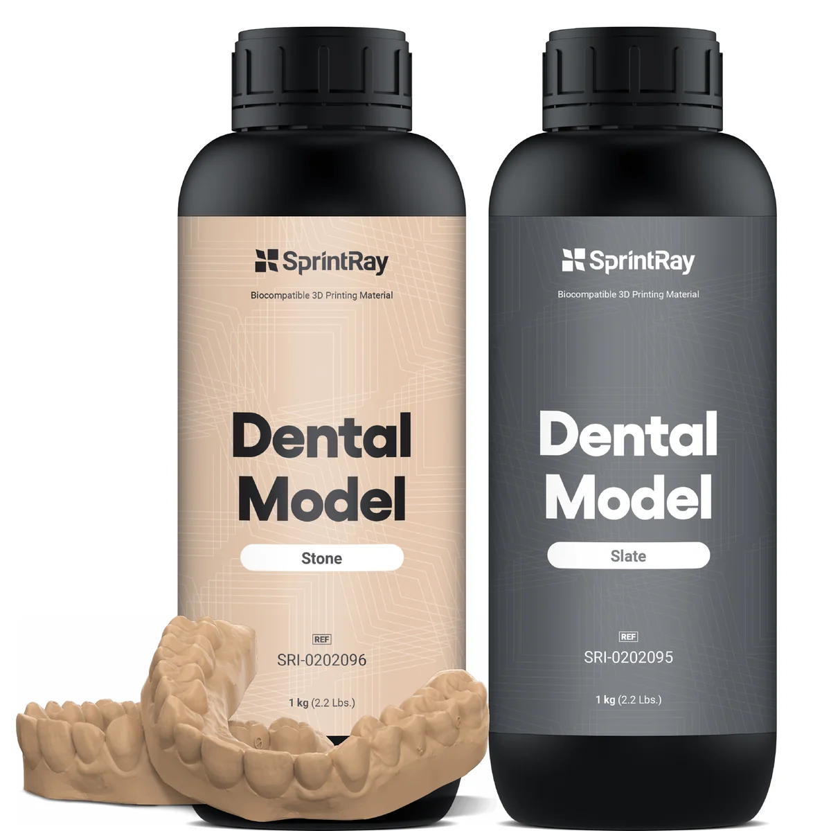 Dental Model
