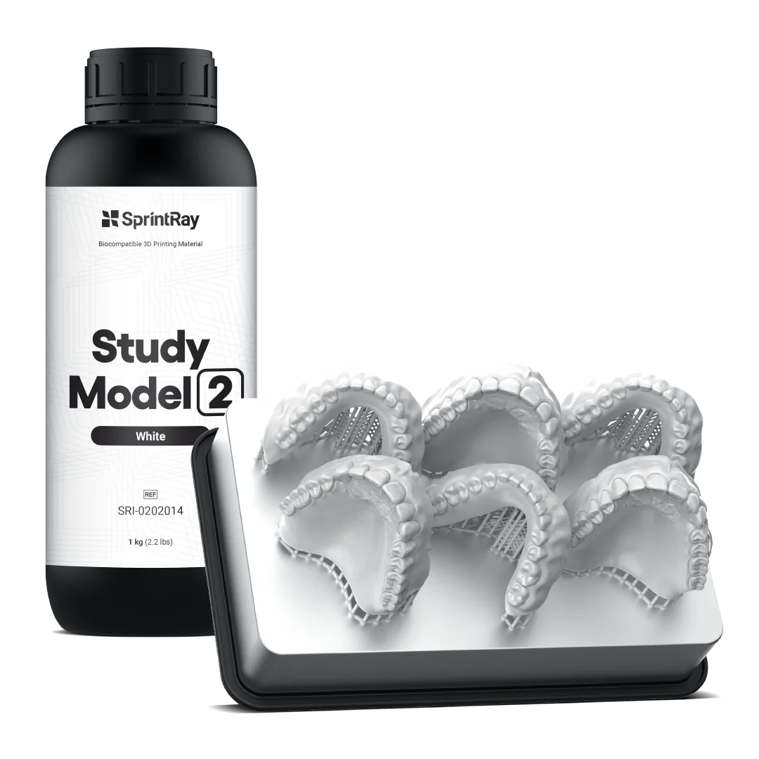 Study Model 2