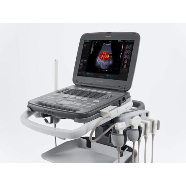 Acuson P500 - Imagen 5